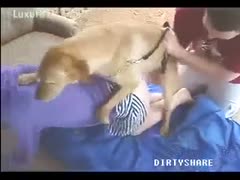 Woman acquires assist for a successful dog fuck